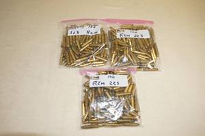 lot 62 image: 300 Empty .223 Rem Casings