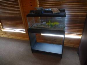 lot 9 image: Aquarium 48 Lower Level