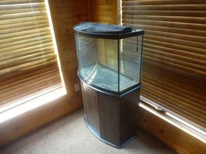 lot 10 image: Aquarium 32 Curved Glass