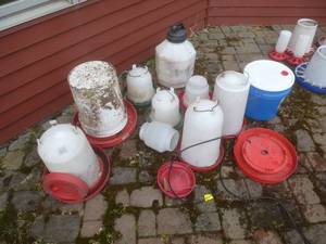 lot 60 image: Chicken Water Feeders
