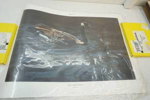 lot 189 image: SignedNumbered print
