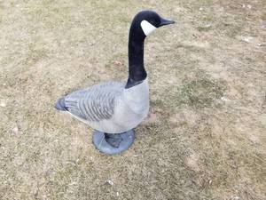 lot 72 image: Canada Goose Decoys