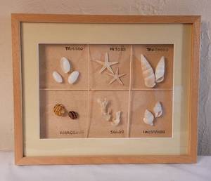 lot 98 image: Seashell Themed Home Decor