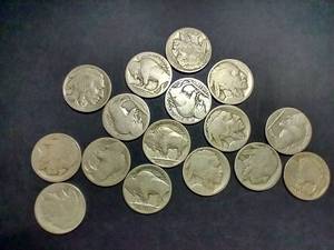 lot 34 image: 16 Buffalo Nickels