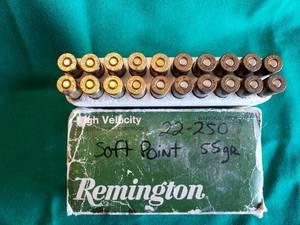 lot 23 image: Remington 22-250s