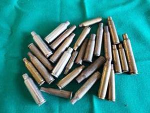 lot 54 image: Shell Casings