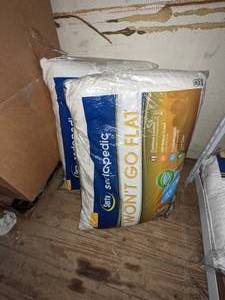 2 Serta Sertapedic Wont Go Flat Standard Size Pillows