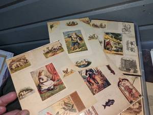 Large Lot of John Derian Greeting Cards WO Envelopes