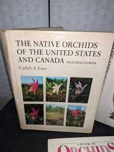 5 Informational Books on Orchids
