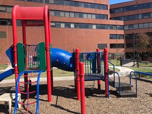 Commercial Outdoor Childrens Playground