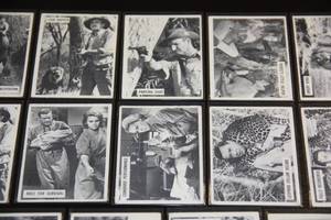 lot 59 image: 1967 Philadelphia Gum Daktari Trading Card Lot  18 Cards