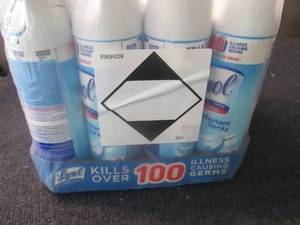 Case of 12 -19 oz Lysol Disinfectin...