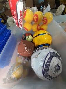 lot 4 image: Plastic Tote Filled with a variety of Balls