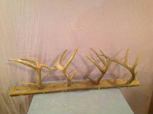 lot 209 image: Antlers