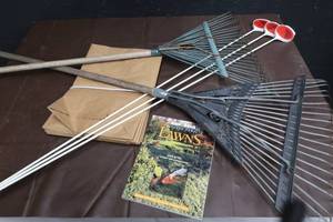 lot 50 image: LAWN CARE TOOLS