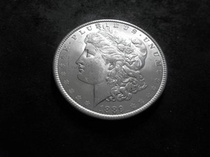 1889 Morgan Silver Dollar