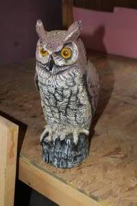 lot 1050 image: Plastic Owl Statue 16H