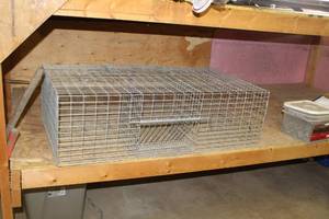lot 1137 image: Tomahawk Live Trap Co Animal Trap Cage 42Lx24-12Wx 12-12H