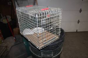lot 1649 image: Kennel-Aire Metal Wire Animal Crate No. 139 18Lx12Wx14H
