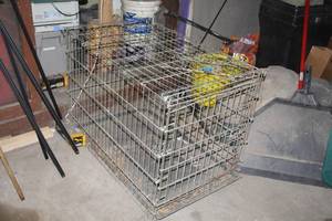 lot 1650 image: Metal Wire Animal Crate 36Lx22Wx24H