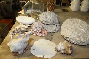 lot 1704 image: Lot of (Approximately 10) Seashell and Coral