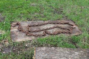 lot 1019 image: Heavy Duty Chain with Hook Ends 10L