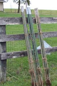 lot 1031 image: Lot of (15) Steel Fence Posts 6L