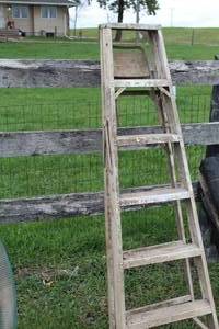 lot 1035 image: Step Ladder 403-06 6L