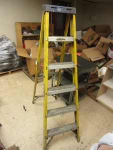 lot 602 image: LOUISVILLE 6 FOOT STEP LADDER