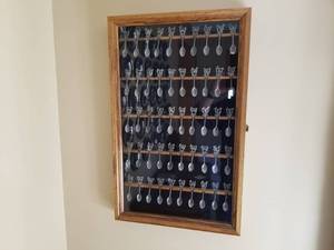 50 State Spoon Collection