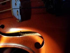 Suzuki Violin