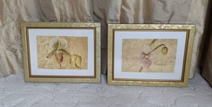 lot 30 image: Pair of Framed Orchid Prints