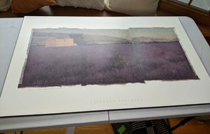 lot 83 image: Lavender-Provence Print on Wood