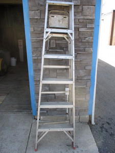 6 Step Ladder