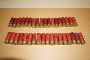 lot 53 image: 12 Gauge Target Load Shotshells