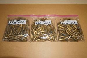 lot 79 image: 300 Empty .223 Rem Casings