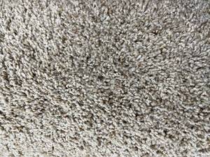 lot 619 image: 12 x 136 (162 Sq Ft) Shaw Parson Coffee Carpet