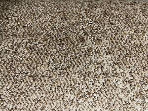 lot 624 image: 12 x 193 (231 Sq Ft) Shaw Morning Light Carpet
