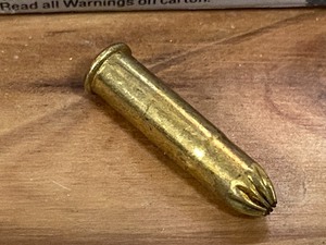 (28) Rounds .22LR Birdshot