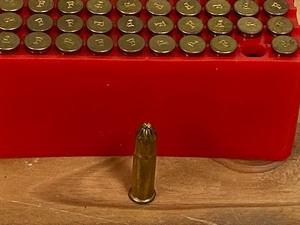 (50) Rounds .22LR Birdshot