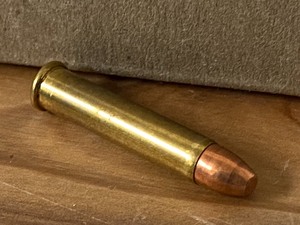(40) Rounds .22-Magnum