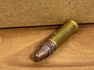 (28) Rounds.22LR
