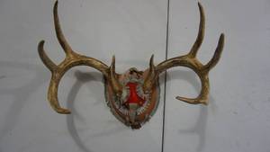 lot 109 image: Mounted Deer Antlers