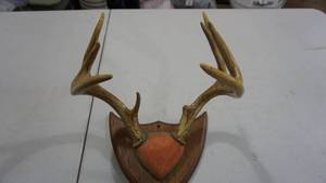 lot 112 image: Mounted Deer Antlers