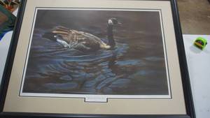 lot 128 image: Framed & Signed Print Afternoon Light-Canada Goose by Rebecca Latham