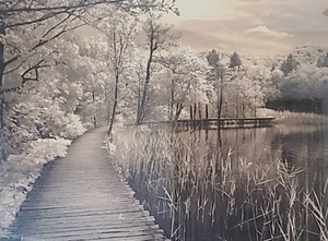 lot 78 image: Large Framed Scenic Print