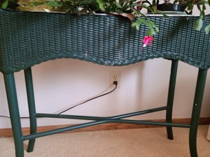 lot 149 image: Wicker Planter Box With Three Christmas Cactus Plants