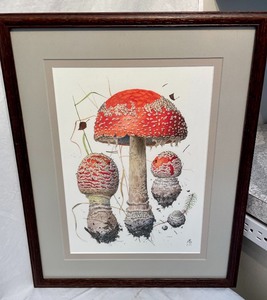 lot 281 image: 2 Mushroom Themed Prints