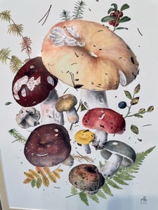 lot 285 image: Two Mushroom Themed Prints