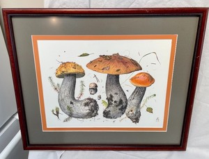 lot 286 image: Mushroom Print